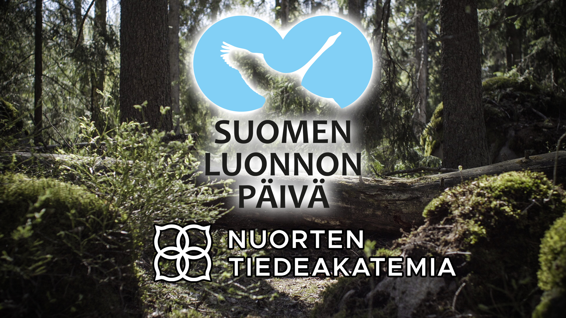 Uusi kouluille suunnattu video kanavallamme – Suomen luonnon päivän  videossa lähestytään luontoa monesta tutkimuksellisesta kulmasta – Nuorten  Tiedeakatemia